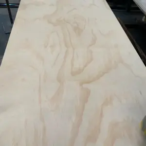 AC Grade Interior Plywood 12mm 2400x1200