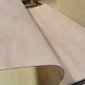 Bendy Plywood Long Grain 4mm 2440 x 1220