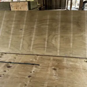 Ply Floor Treated 19mm 2400x1200 Downgrade