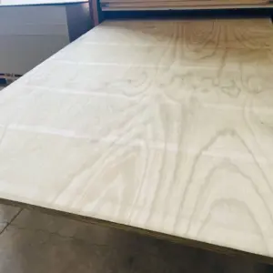 CD Structural Plywood CCA H3.2 Treated 25mm 2400x1200