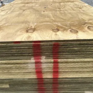 15mm H3.2 Treated  2400x1200