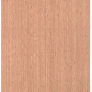 Steam Beech Ply 2440x1220 2.6mm