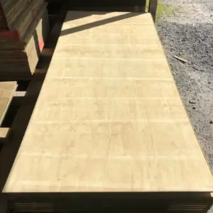 Utilityclad 2440x1200 12mm Textured H3.2 CCA Treated Plywood